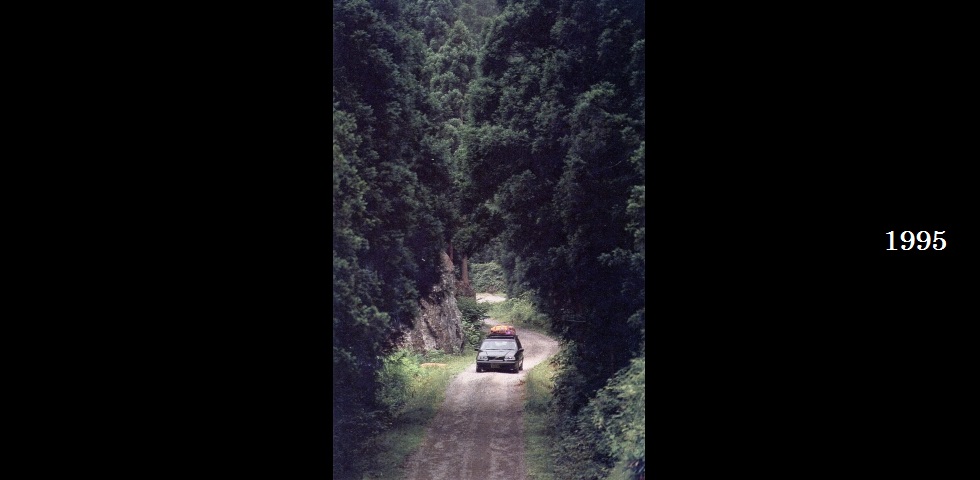 the old catalog 95-05