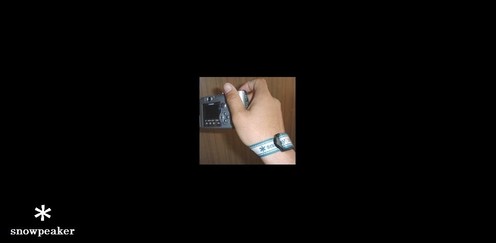 the original goods　NO.041　camera strap 2001 　by EV　b